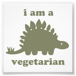 Vegetarian Stegosaurus Dinosaur - Green Foto Afdruk