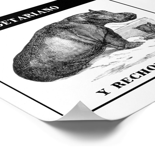 Vegetariano e gordinho poster (Hoek)