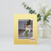 Vegetarisch keuken briefkaart (Staand voorkant)