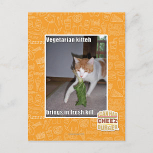 Vegetarisch keuken briefkaart