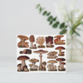 Vegetarische hipster steampunk  paddenstoel briefkaart (Staand voorkant)