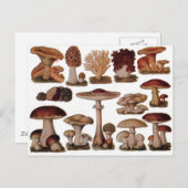 Vegetarische hipster steampunk  paddenstoel briefkaart (Voorkant / Achterkant)