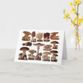 Vegetarische hipster steampunk  paddenstoel kaart (Gele Bloem)