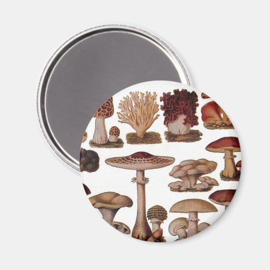 Vegetarische hipster steampunk  paddenstoel magneet (Voorkant / Achterkant)