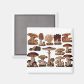 Vegetarische hipster steampunk  paddenstoel magneet (Voorkant / Achterkant)