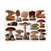 Vegetarische hipster steampunk  paddenstoel magneet (Horizontaal)