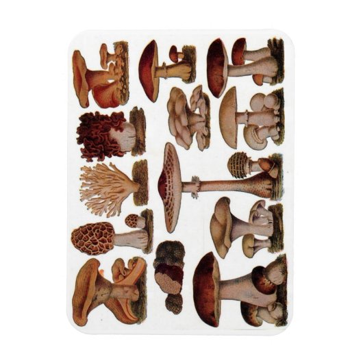 Vegetarische hipster steampunk  paddenstoel magneet (Verticaal)
