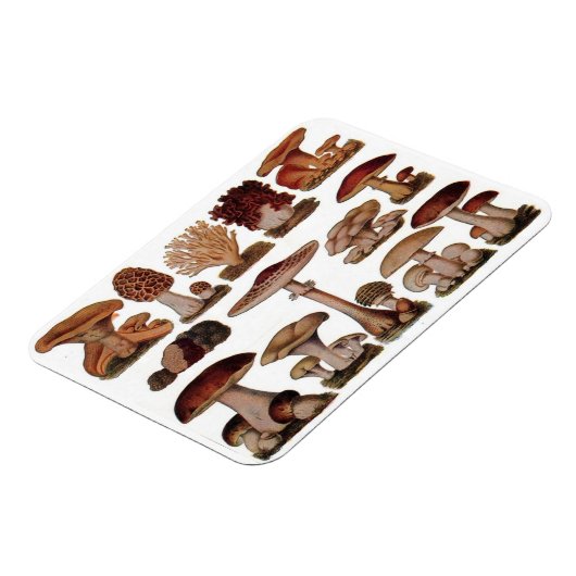 Vegetarische hipster steampunk  paddenstoel magneet (Linkerzijde)