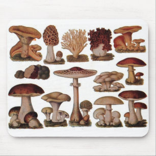 Vegetarische hipster steampunk  paddenstoel muismat