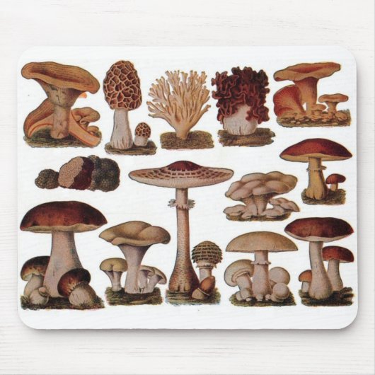 Vegetarische hipster steampunk  paddenstoel muismat (Voorkant)