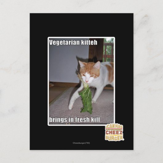 Vegetarische keuken briefkaart (Voorkant)