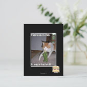 Vegetarische keuken briefkaart (Staand voorkant)