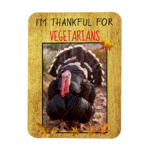 Vegetarische Thanksgiving Turkije Foto Vegan Bedan Magneet
