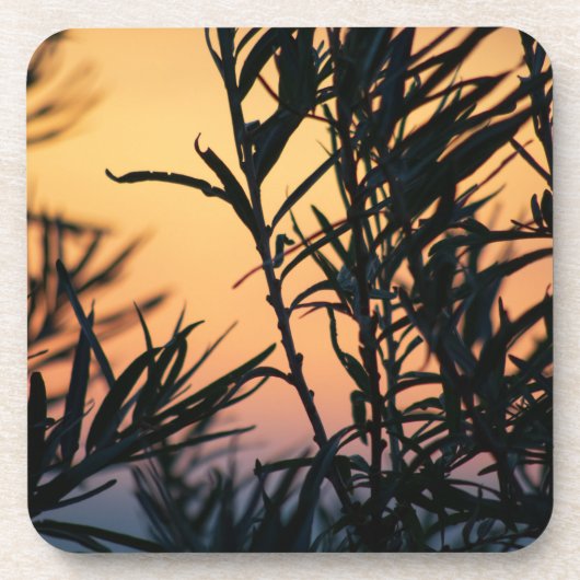 Vegetatie bij zonsondergang bier onderzetter (Voorkant)