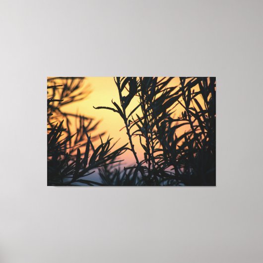Vegetatie bij zonsondergang canvas afdruk (Voorkant)