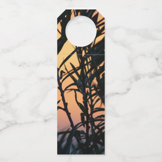 Vegetatie bij zonsondergang flessenhanger (Voorkant)