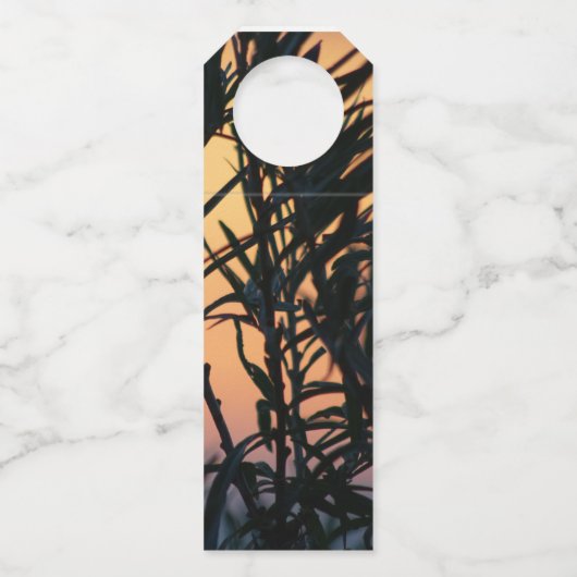 Vegetatie bij zonsondergang flessenhanger (Achterkant)