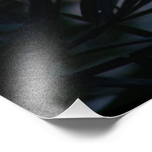 Vegetatie bij zonsondergang foto afdruk (Hoek)