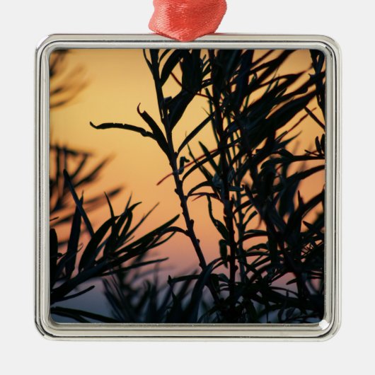 Vegetatie bij zonsondergang metalen ornament (Voorkant)