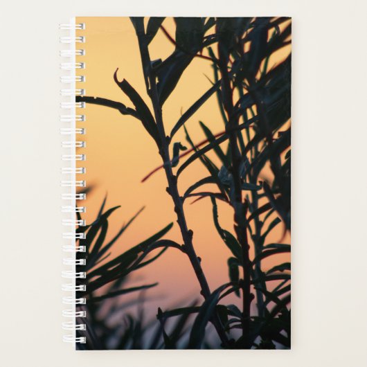 Vegetatie bij zonsondergang planner (Voorkant)