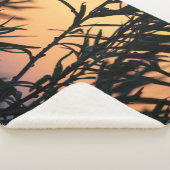 Vegetatie bij zonsondergang sherpa deken (3/4)