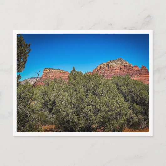 vegetatie briefkaart (Voorkant)