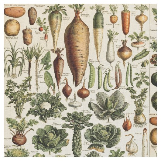 vegetatieve kunst door Adolphe Millot Pattern Stof (Close Up)