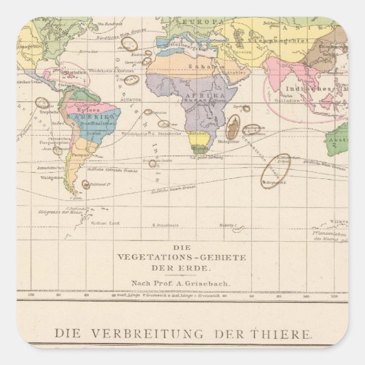 Vegetationsgebiete, Thiere Atlas Map Vierkante Sticker (Voorkant)