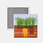Veggie Garden Magneet (Voorkant / Achterkant)