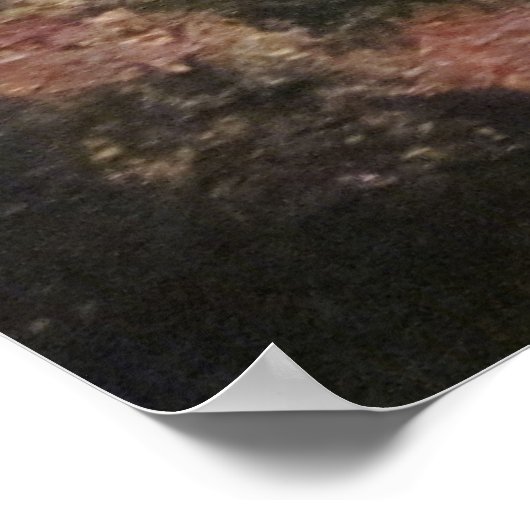 Vegvisir Poster (Hoek)