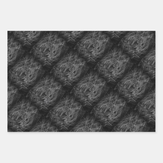 Veil als een röntgenafbeelding inpakpapier vel (Voorkant 2)