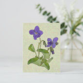 Veilchen Briefkaart (Staand voorkant)