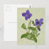 Veilchen Briefkaart (Voorkant / Achterkant)