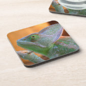 Veiled Chameleon Drankjes Onderzetter (Linkerzijde)