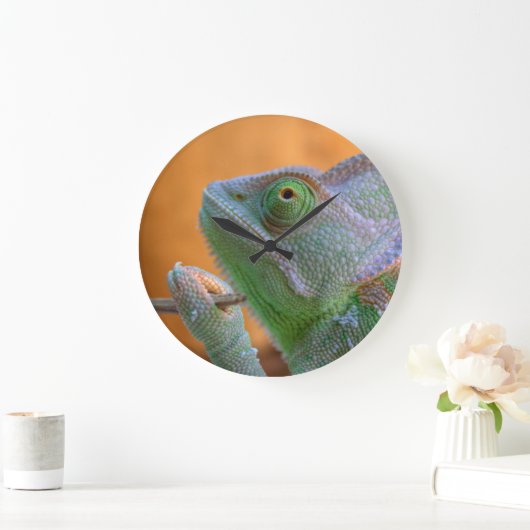 Veiled Chameleon Grote Klok (Huis)