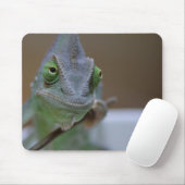 Veiled Chameleon Muismat (Met muis)