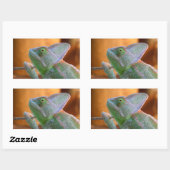 Veiled Chameleon Rechthoekige Sticker (Vel)