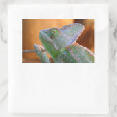 Veiled Chameleon Rechthoekige Sticker (Tas)