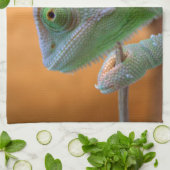 Veiled Chameleon Theedoek (Gevouwen)