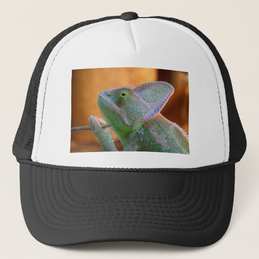 Veiled Chameleon Trucker Pet (Voorkant)