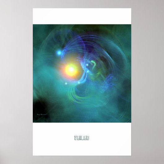 VEILED PRINT (Voorkant)