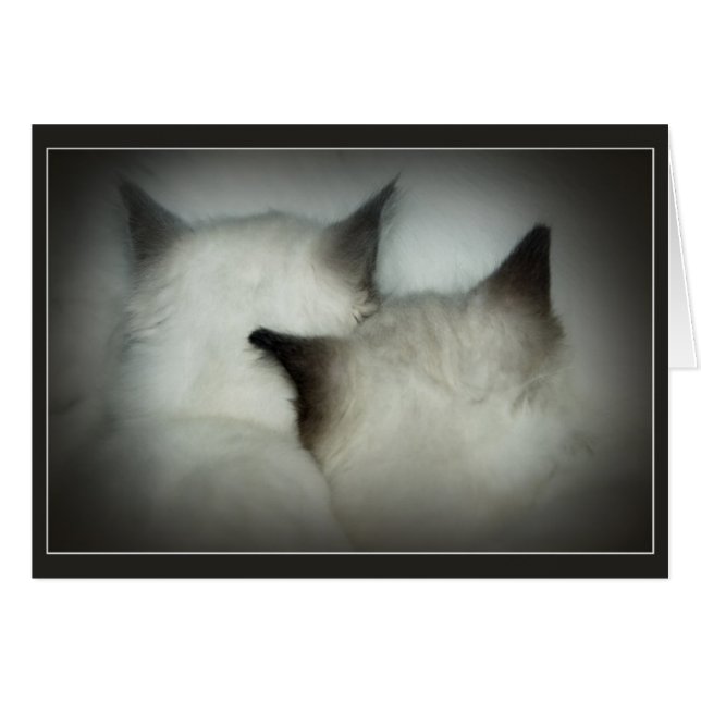 veilig en geluid (Voorkant Horizontaal)