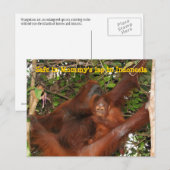 Veilig in mama's Lap Briefkaart (Voorkant / Achterkant)