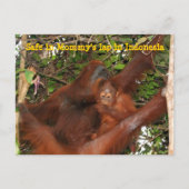 Veilig in mama's Lap Briefkaart (Voorkant)