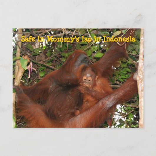 Veilig in mama's Lap Briefkaart (Voorkant)