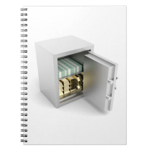 Veilig met goud en contant geld notitieboek