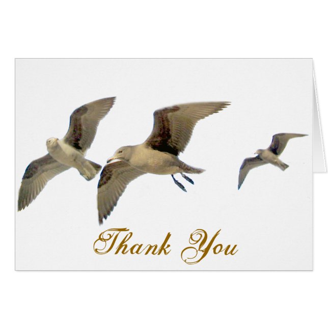 Veilig reizen_ (Voorkant Horizontaal)