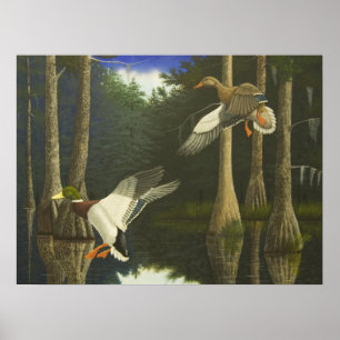 Veilig startpunt poster