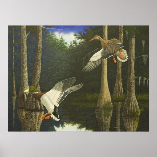 Veilig startpunt poster (Voorkant)