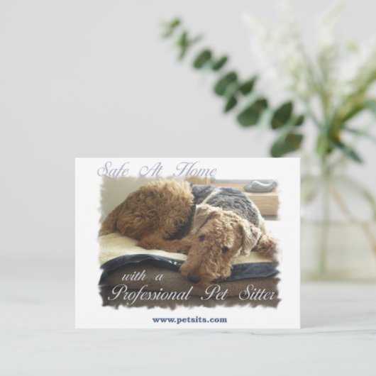 Veilig thuis met een Professional Pet Sitter Briefkaart (Staand voorkant)